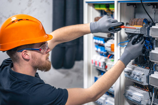 Best Electric Panel Repair  in Taos, NM